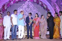 Sai Kumar Daughter Wedding Reception Photos